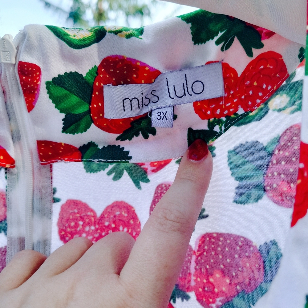 PLUS SIZE MODCLOTH STRAWBERRY DRESS π - Picture 3 of 5